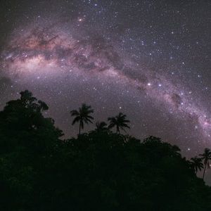 Meet your Posher, Trueman